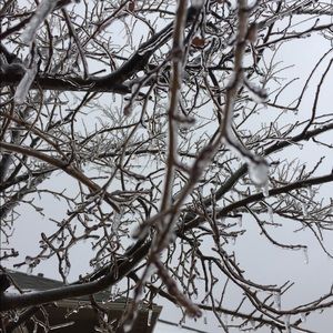 Meet your Posher, Priscilla